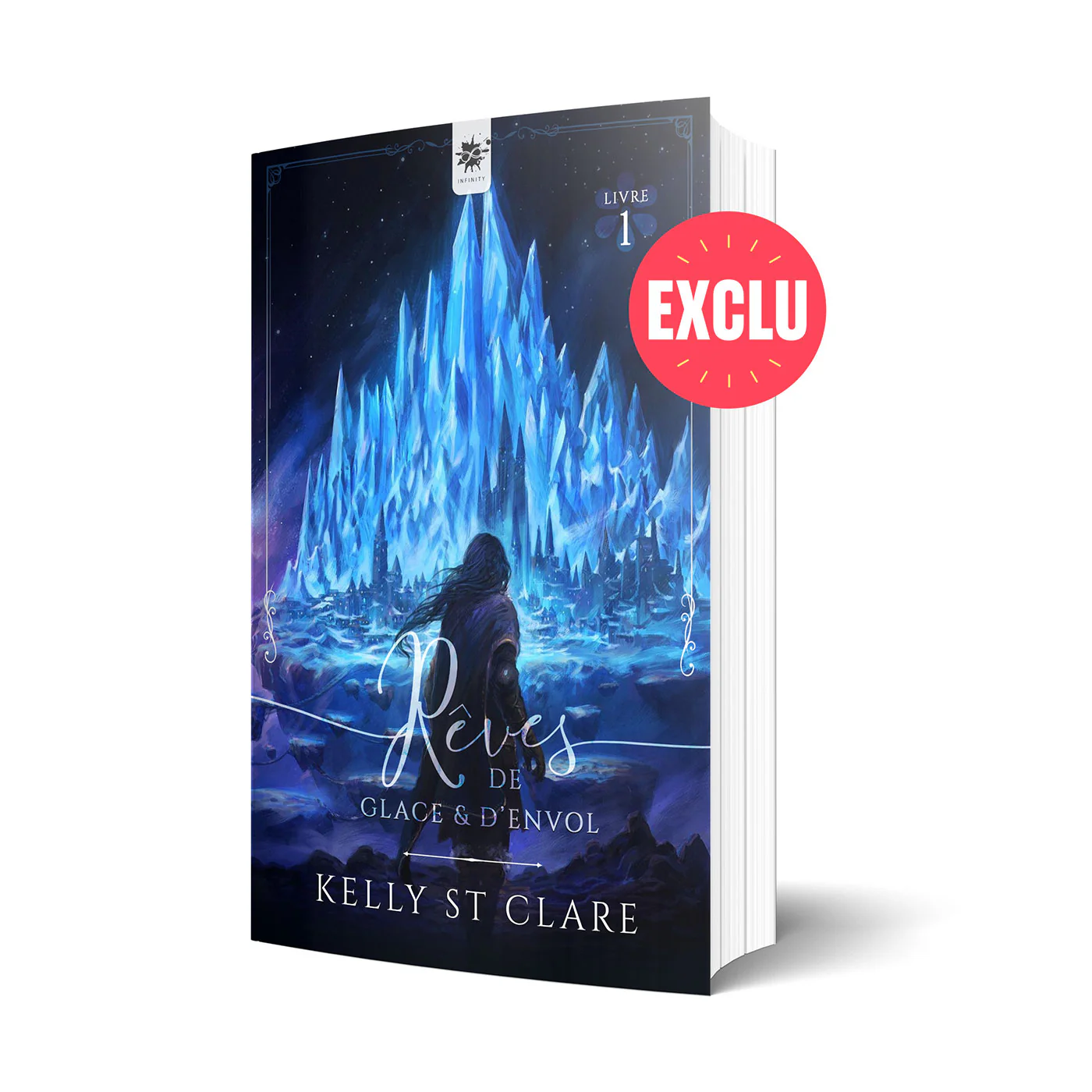 Rêves de Glace et d'Envol - Image 3